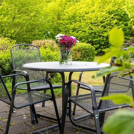 Apartmán Budget 1-Raum Appartement Mit Terrasse A19 Dranske